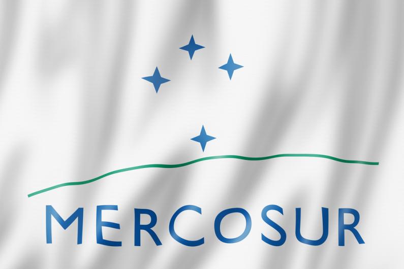 Tout savoir sur le Mercosur et sa traduction multilingue Tout savoir sur le Mercosur et sa traduction multilingue